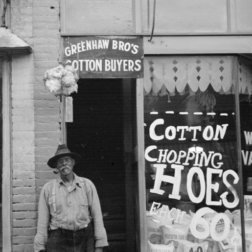 Cotton Picking Across America 1930's